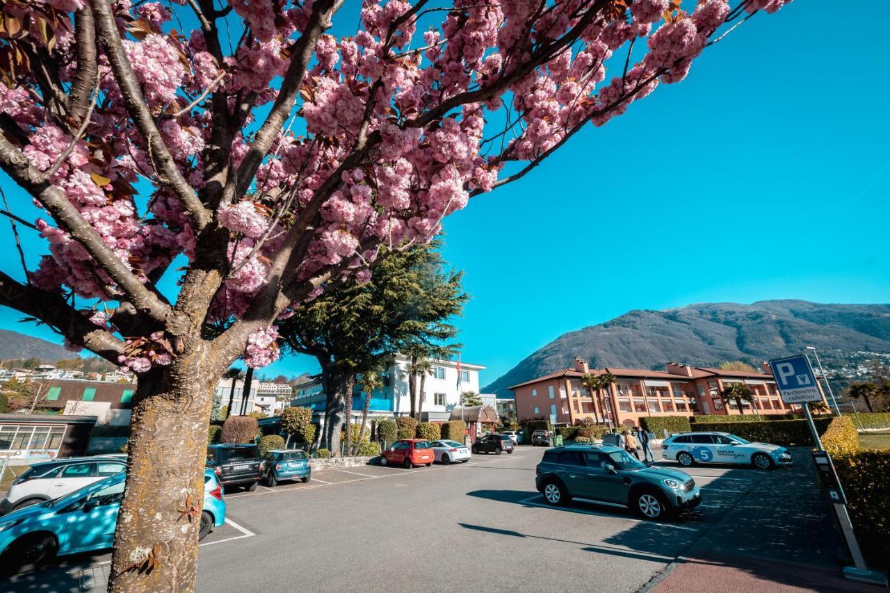 Ascona Lodge, Pool & Garden Retreat Εξωτερικό φωτογραφία