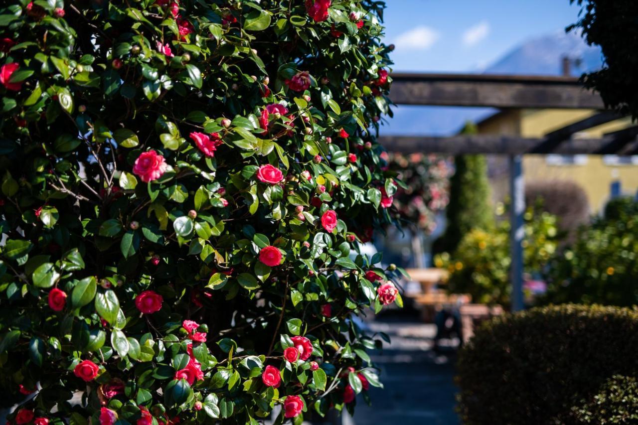Ascona Lodge, Pool & Garden Retreat Εξωτερικό φωτογραφία